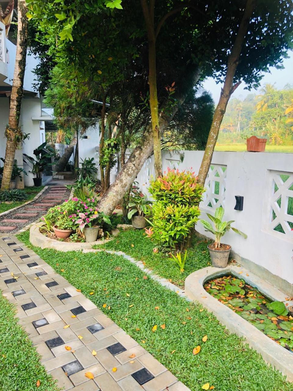 Villa Paddy Fields View Mirissa Dış mekan fotoğraf
