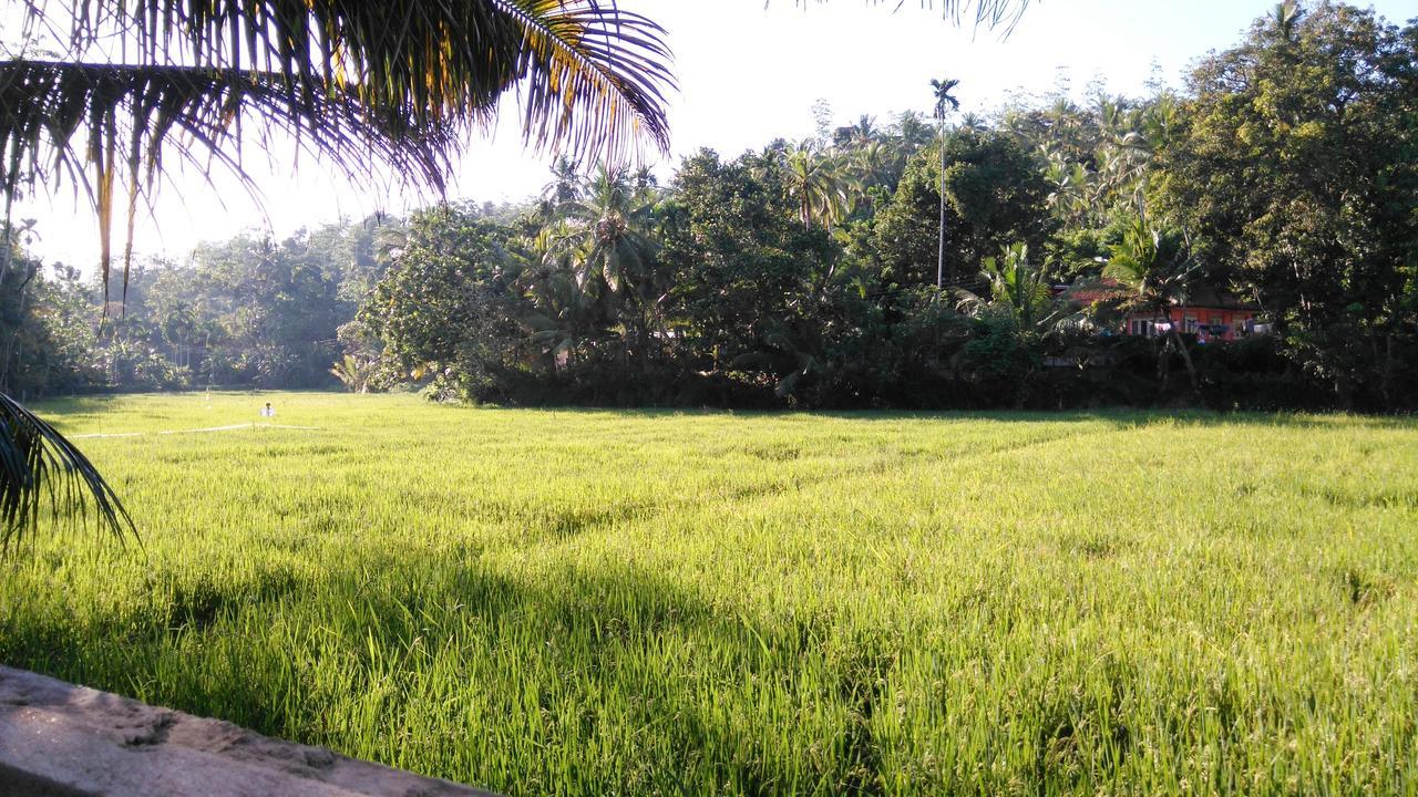 Villa Paddy Fields View Mirissa Dış mekan fotoğraf